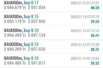 deliver a profitable forex trading robot, forex robot, forex trading robot