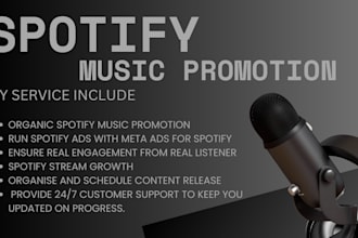 do organic spotify music promotion to increase spotify listeners