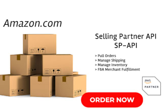 do API integration, development or API fixing amazon sp api ebay api sdk api