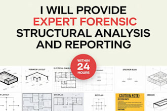 provide expert forensic structural analysis and reporting