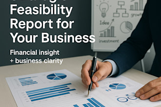 create a strategic and financial feasibility analysis for your business