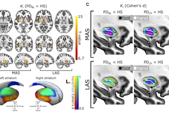build tailored multimodal neuroimaging pipelines