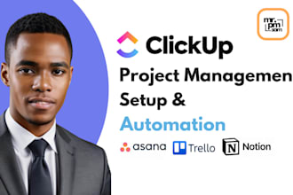 setup your clickup, asana, trello, notion, and be your project manager