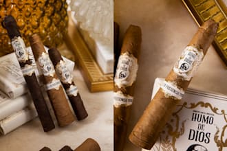 make modern cigar label, band and box logo or any graphics design
