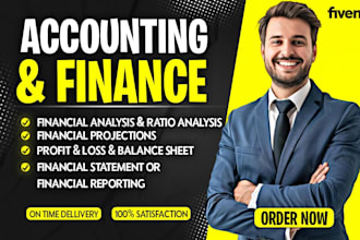 write report of financial analysis, finance, accounting tasks and assignment