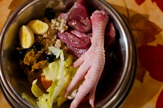 design a personalized natural diet for your dog