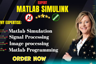 do matlab simulations and simulink models for engineering projects