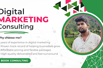 do expert digital marketing consultation for business owners