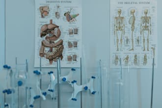design medical healthcare infographics anatomy diagrams reports