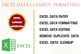 do data entry, cleaning, and formatting in excel or google sheets