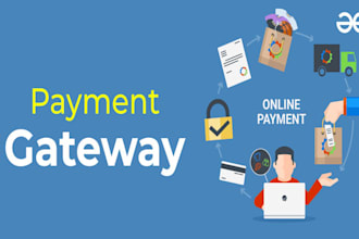 setup 2d payment processor,payment gateway,high risk payment,payment integration