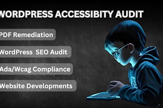 do wordpress accessibility audits and wcag compliance seo
