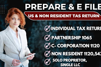 prepare and file US returns for personal, corporate and llc