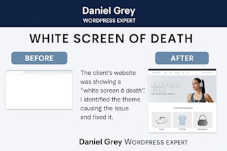 fix wordpress errors, bugs and speed issues professionally