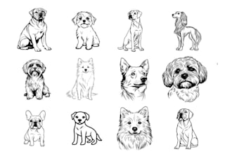 do black and white cat, dog, and pet animal line art in 24 hours