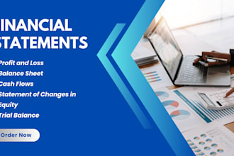 prepare financial statements which includes profit and loss,balance sheet