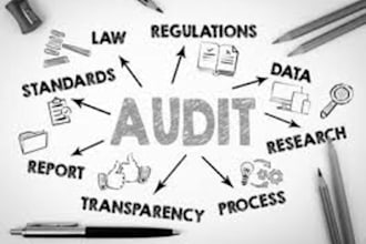 assist you with audit and assurance and business accounting