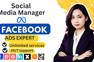 setup manage facebook ads campaign or instagram ads campaign
