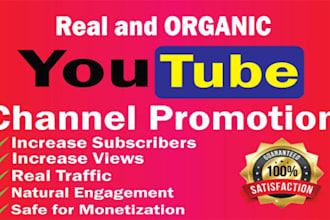 do organic youtube channel, monetization promotion to reach targeted audience