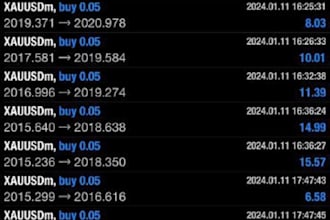 be your mt4 mt5 account management to get profit