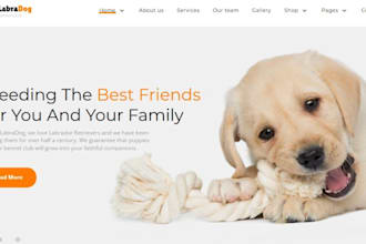 build squarespace pet care website pet grooming website animal website pet store