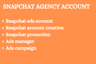 setup snapchat agency account, ads manager, ads campaign, snapchat show