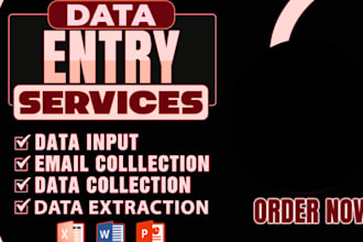 data input, data extraction, data entry and web research