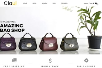 tote bag website fashion handbag shopify store travel bag dropshipping