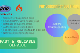 fix bugs or optimize php codeigniter projects