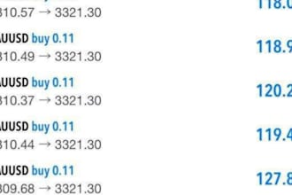 provide profitable automated forex bot forex ea trading bot gold ea