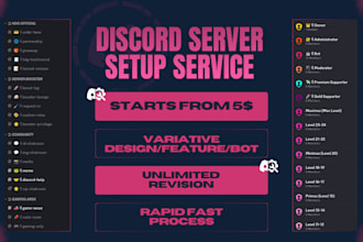 setup new and existing discord server professionally