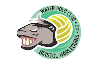 make pony play water polo logo design