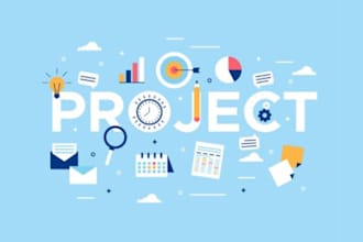 skills as a project manager or brand manager