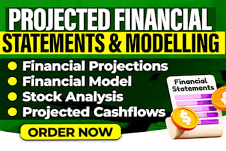 do budget, excel financial models, forecasting, projections, and analysis report