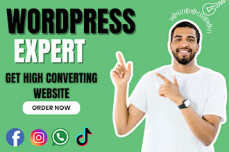 build wordpress website, woocommerce, developer, elementor pro expert