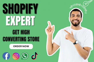 build shopify dropshipping store, ecommerce website, shopify store designer