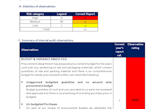 conduct internal audit reviews and write professional audit reports
