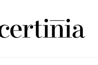 provide certinia and salesforce consulting experts