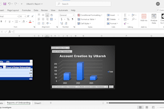 create professional excel charts, reports, graphs, pivot table