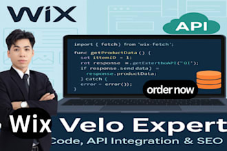 build or fix your custom wix website with velo code API integration and SEO