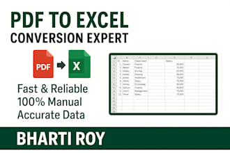convert PDF to excel, PDF to word, or data entry