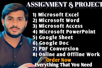 do your microsoft excel assignments projects and modules