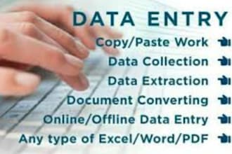 do pdf, documents formatting, file conversion and accurate data entry va