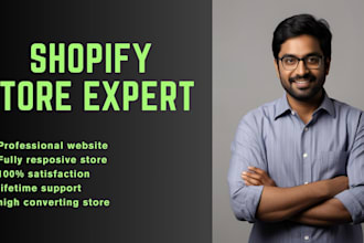 professionally design and create a shopify website