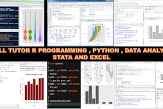 tutor data analysis, r programming , stata and python