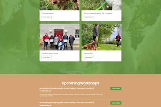 design wix website professionally, wix website development
