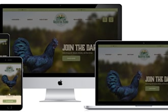 develop, redesign and customize branded shopify website