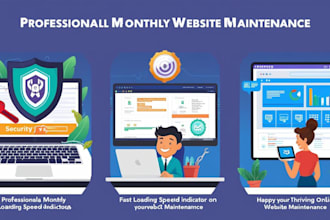 professionally maintain, update, and secure your website monthly