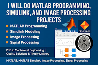 do matlab programming and simulink and image processing projects