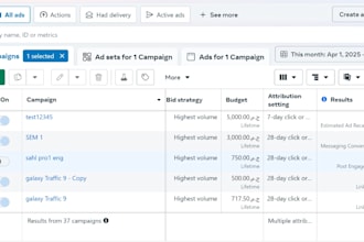 run and manage meta ads campaigns
